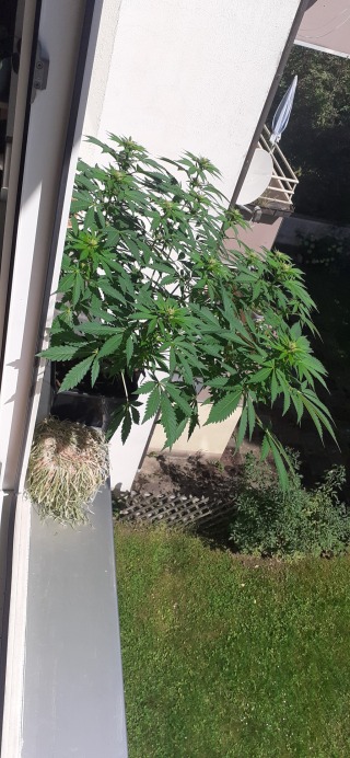 photo/0a3ba610-399d-4a07-92bc-2a295c1fb7f5-3