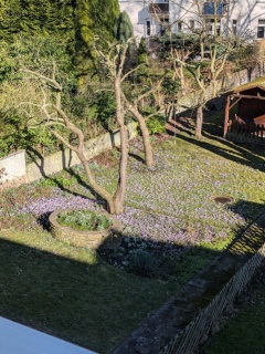 PXL_20260225_134712854 (2).jpg