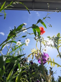 photo/4cefa3e7-8691-431c-851b-40073fbffd43-3