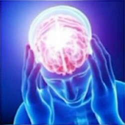 photo/57bf534d-876c-4533-b3bd-4ebedd115f3d-3