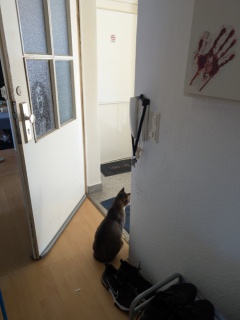 photo/6cddcda7-40af-4048-affe-3272dd2a84c0-3