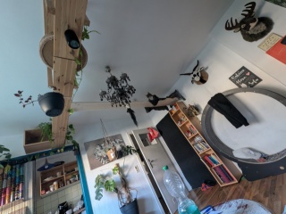 PXL_20260305_155952560 (1).jpg