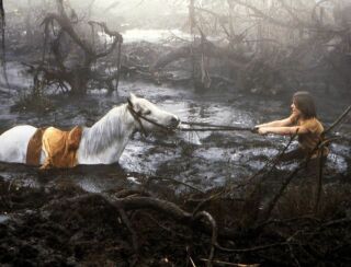 photo/74e84c6c-2e39-442f-a280-57df4858f79a-3