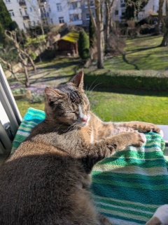 photo/84edd6f7-2a78-481e-9c8c-5c21719313fd-3