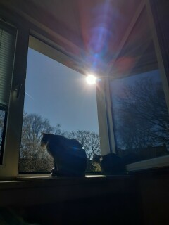 photo/a35f1574-068d-41e5-bda5-a8ad2676cb96-3