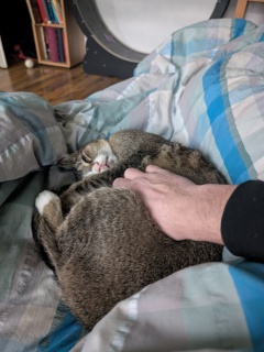 photo/b9e93d26-f9ee-4641-b8f8-b06692f56d68-3